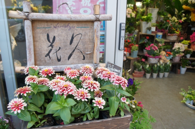 フラワーギフト　花久　勝川本店