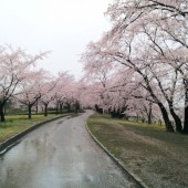 この間のグルメ王の朝の落合公園