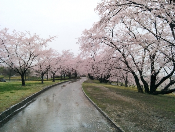 落合公園