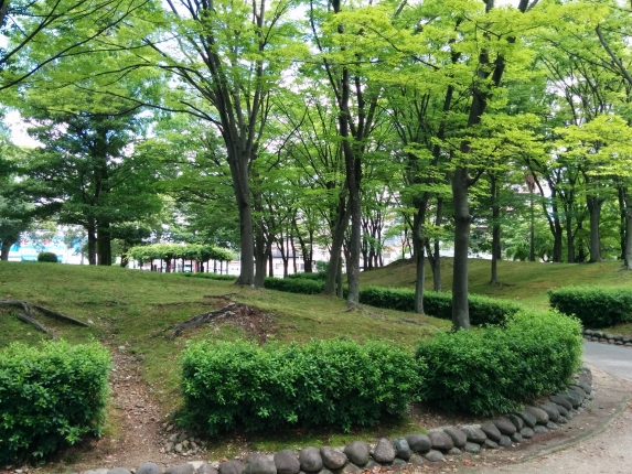 春日井中央公園