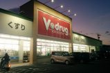 Ｖ・ｄｒｕｇ中部薬品春日井小野店