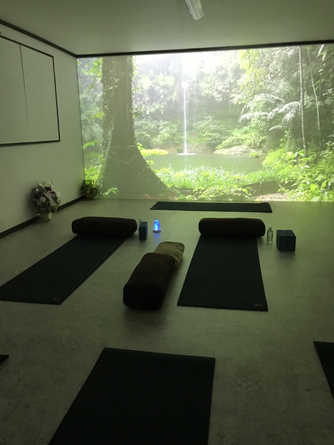 My-Yoga Studio（マイヨガスタジオ）